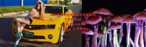 кокс Богородск