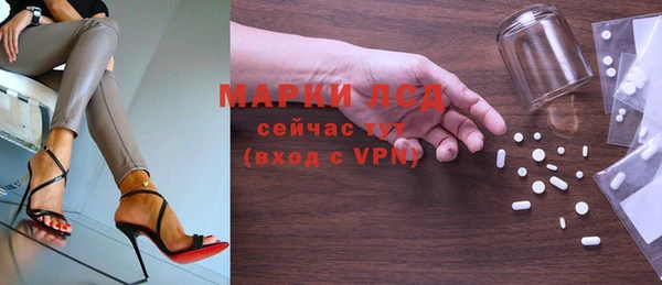 герыч Тайга