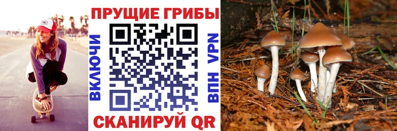 Псилоцибиновые грибы мухоморы  Котельники 