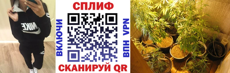 дарк нет формула  купить  цена  Котельники  Канабис план 